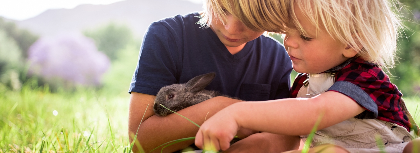 Jungen mit Kaninchen
