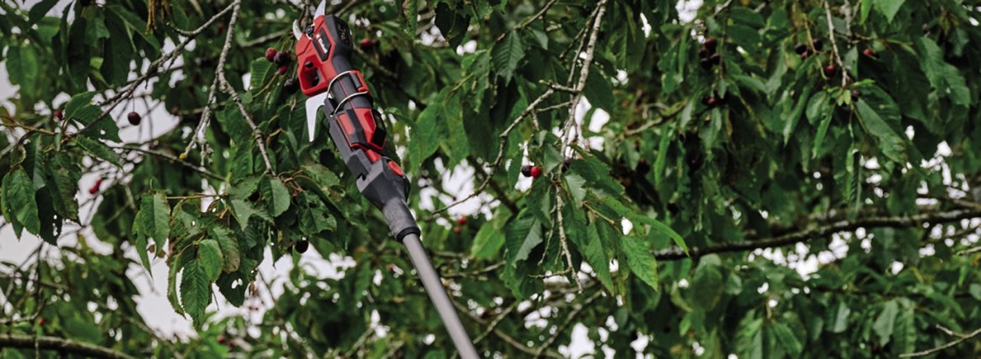 EINHELL GP-LS Akku Teleskopschere