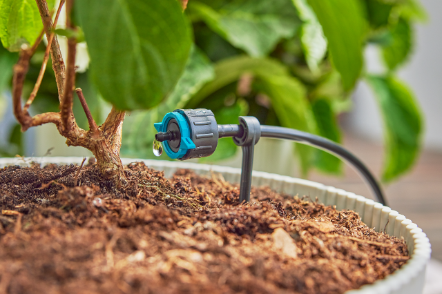 Wassersparende Bewässerung von Gardena