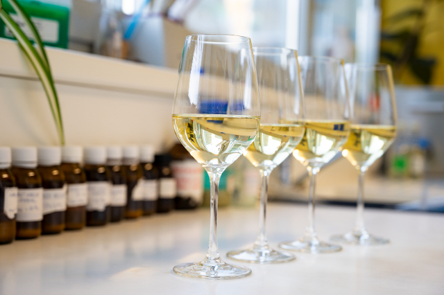 Weinproben
