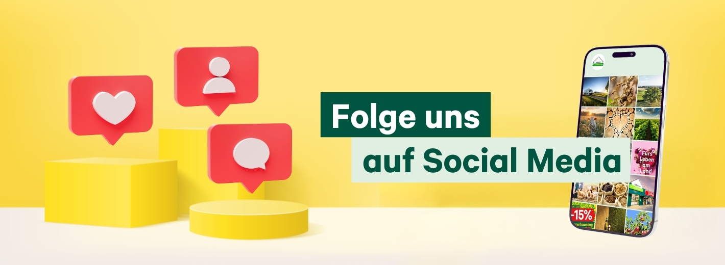 Banner, links drei zylindrische Produktdisplays darüber schwebend 3D Icons für Like, Follower und Sprechblase, rechts ein Smartphone mit einem social media Profil darüber die Headline: Folge uns auf Social Media