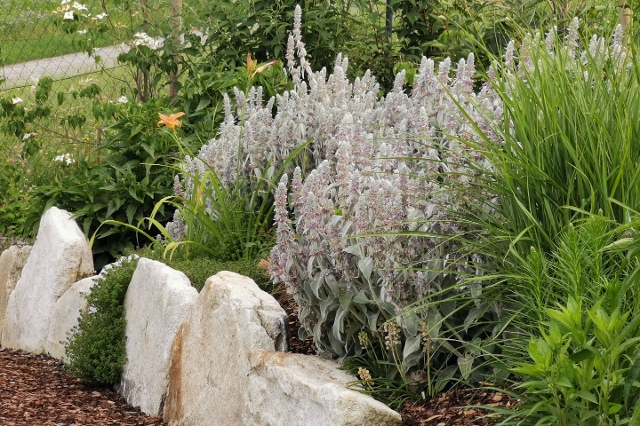 LGH Freistadt/ Gartenbau