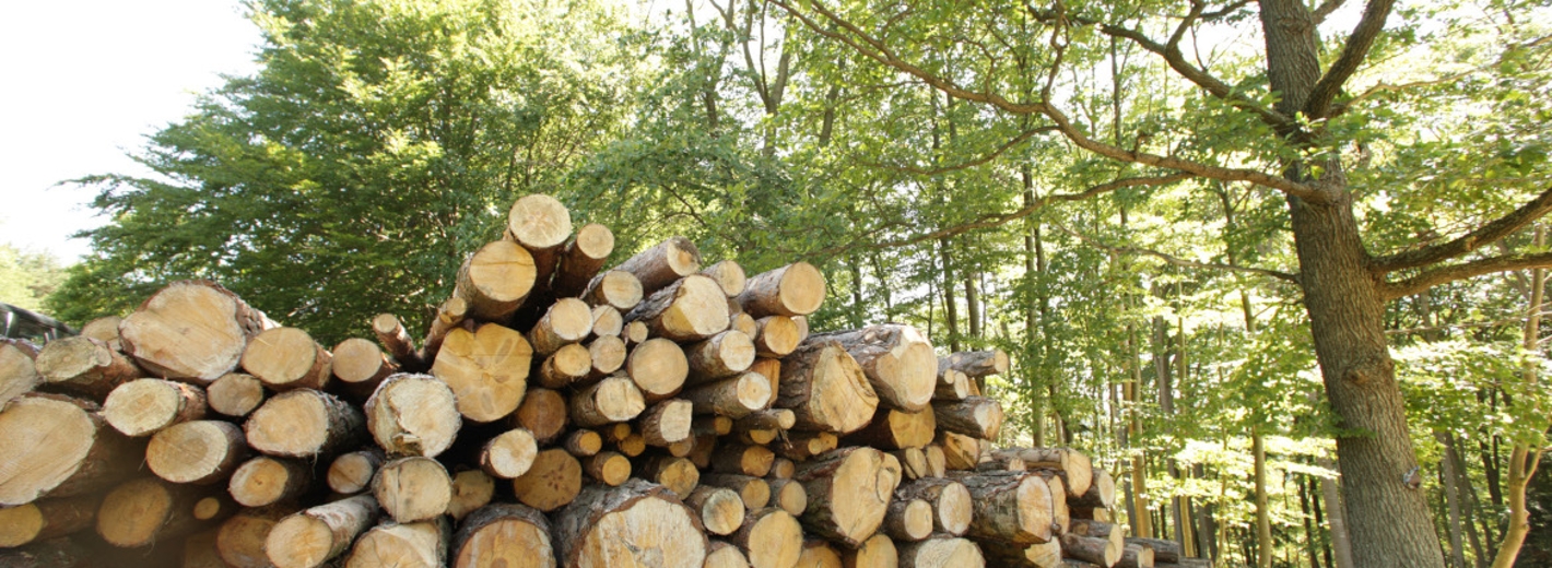 Holzhandel