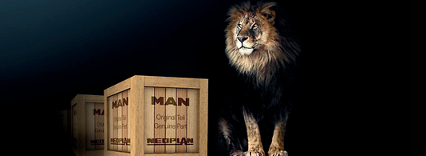 MAN_LION_PARTS