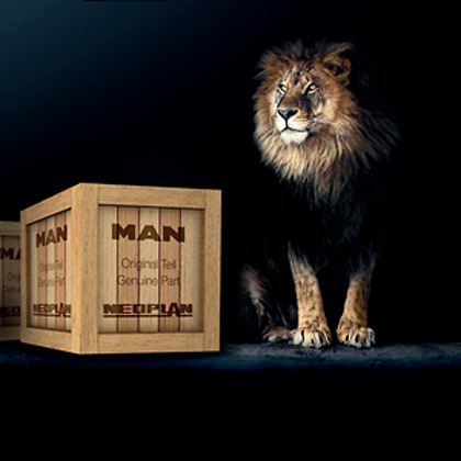 MAN_LION_PARTS