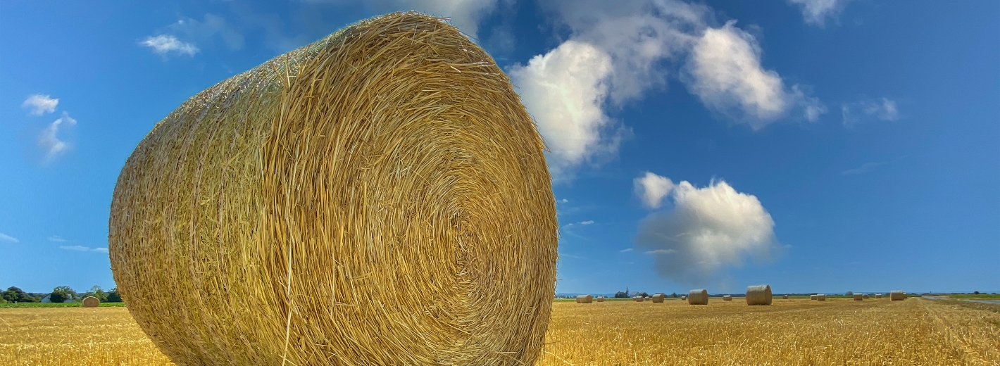 Strohballen auf Feld