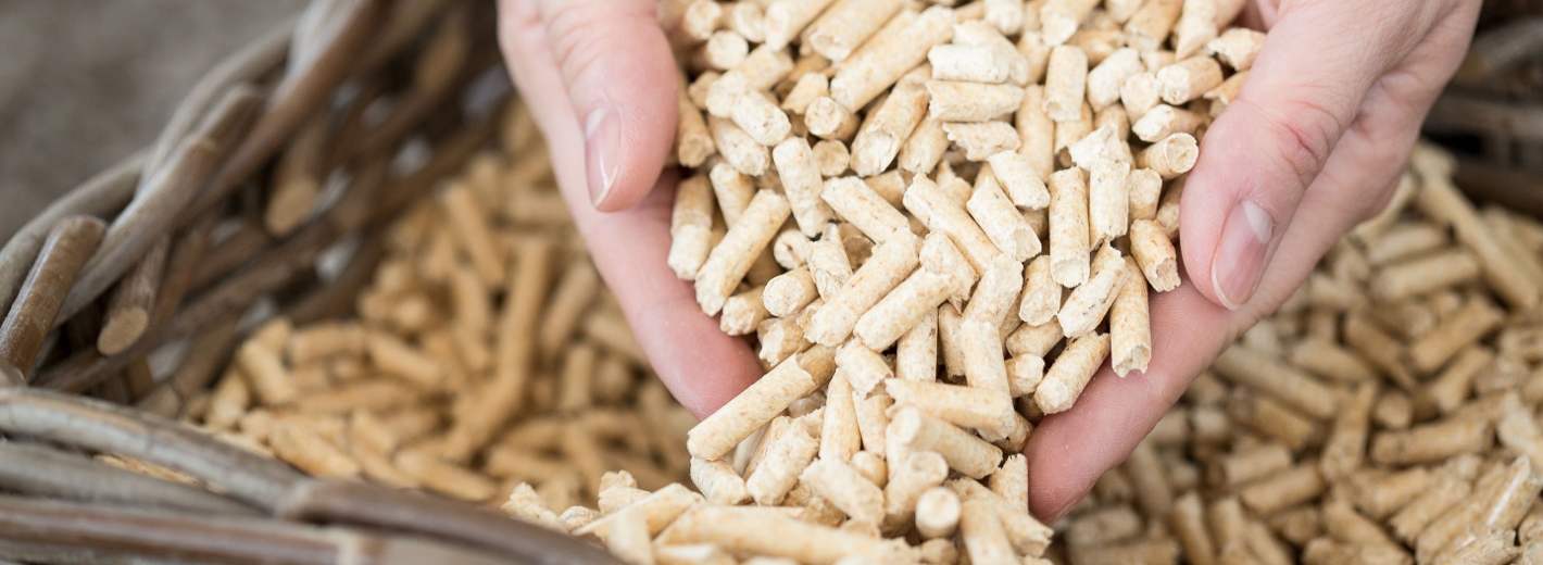 Pellets in Händen gehalten