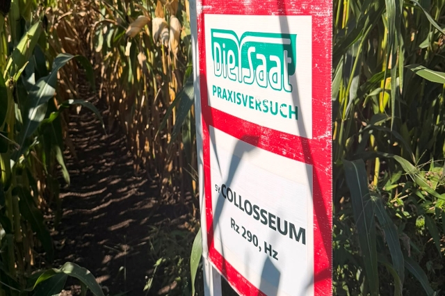 Maisfeldtag 2026