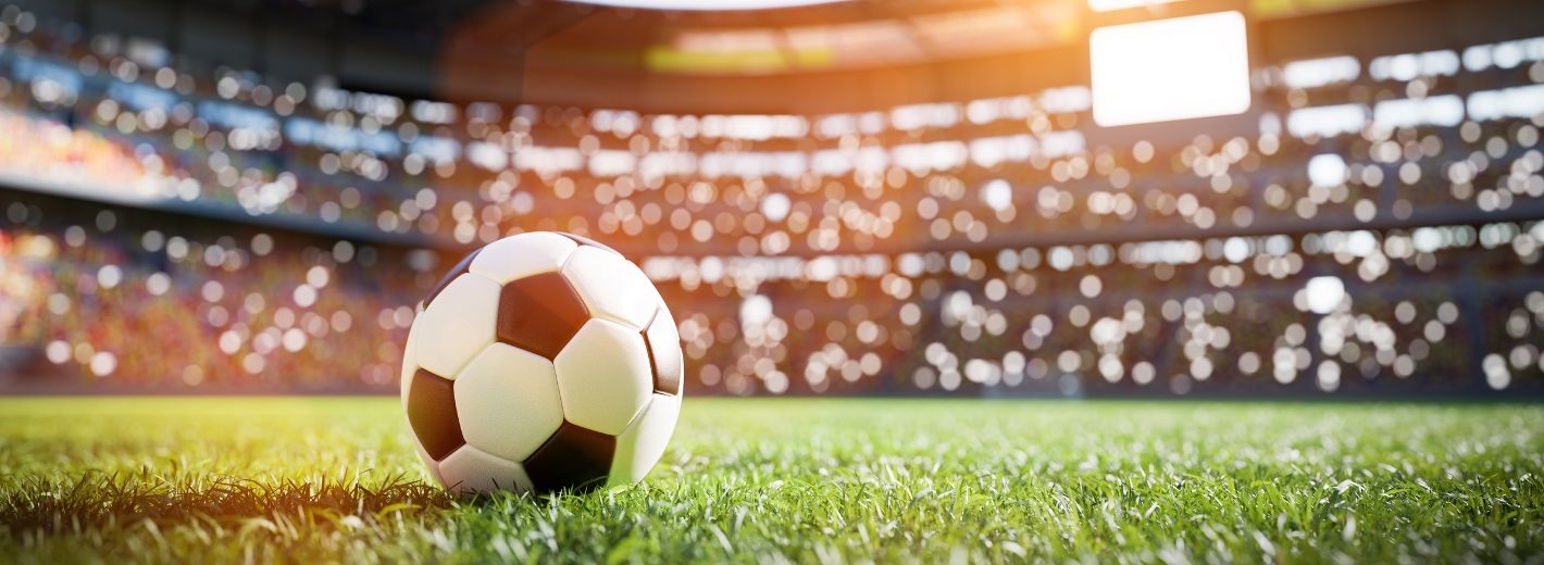 Fußball WM