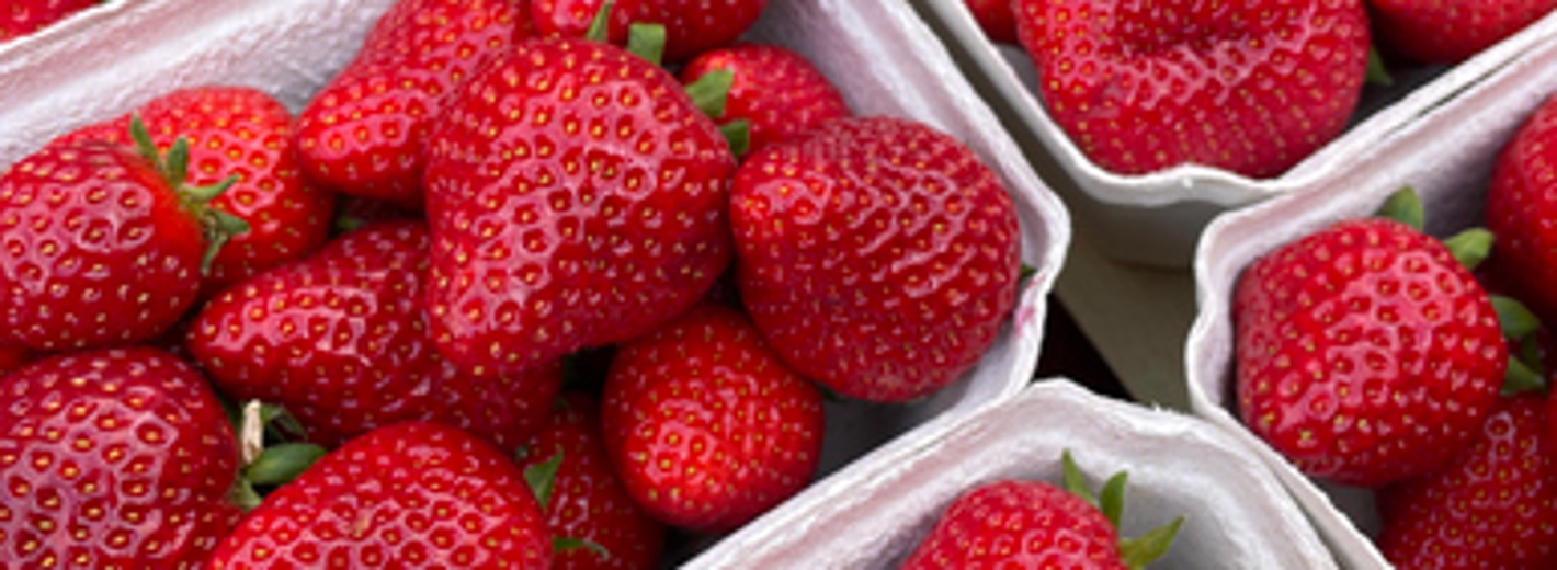 Erdbeeren