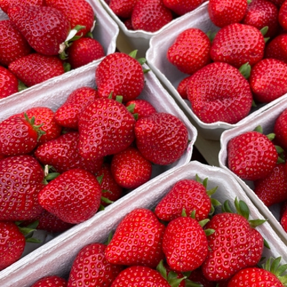 Erdbeeren