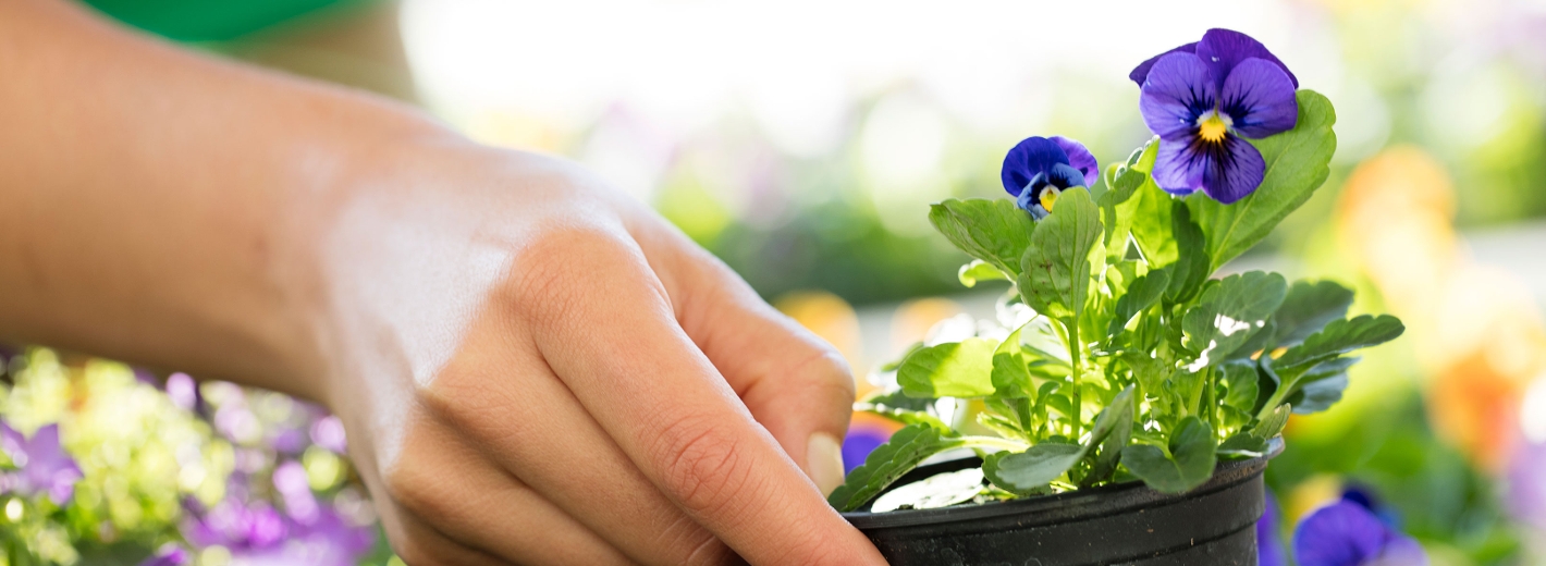 Unsere Haus- und Gartenmärkte sind der Ansprechpartner für die ganze Familie.