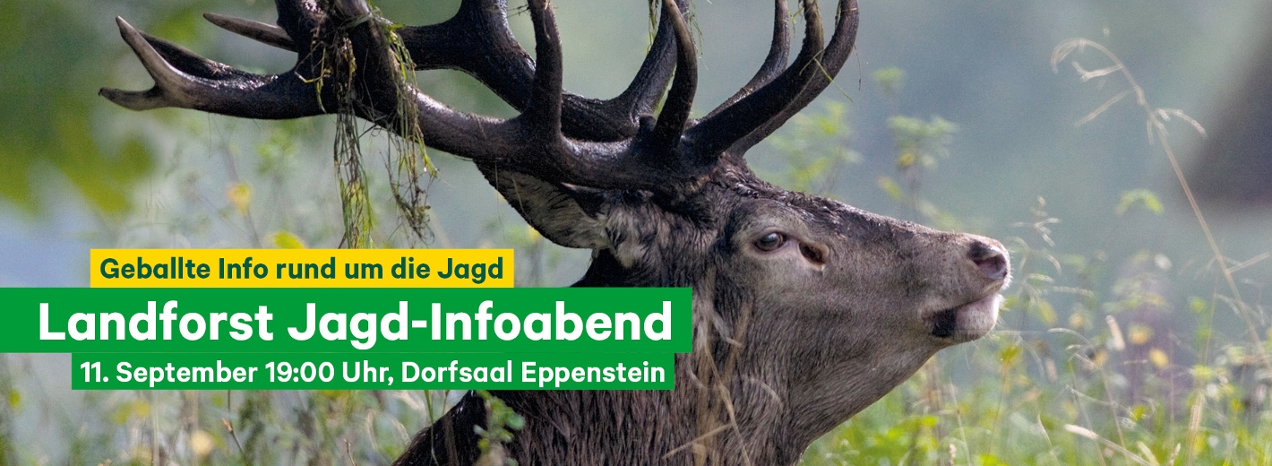 Landforst Jagd-Infoabend Weisskirchen 2026