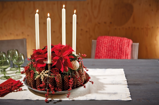 Adventkranz mit Weihnachtssternen und Zapfen