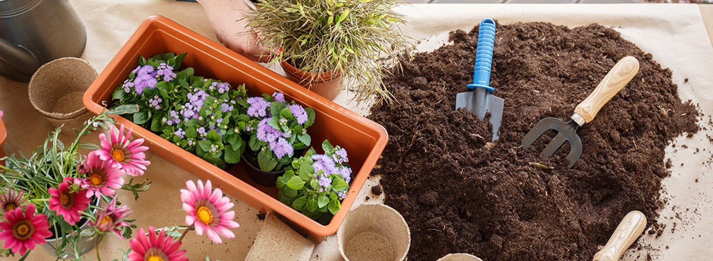 Blumenkästen für die Saison vorbereiten