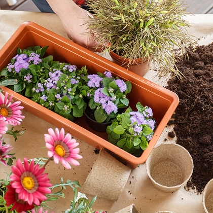 Blumenkästen für die Saison vorbereiten