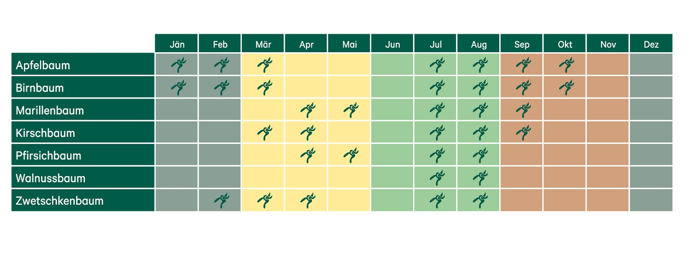 Baumschnittkalender für Obstbäume
