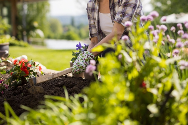 Dame bereitet Blumenbeet für Bepflanzung vor