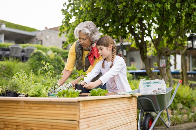 Großmutter und Enkelin bauen Tomaten im Hochbeet an
