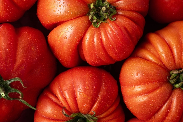 Saftig rote Fleischtomaten
