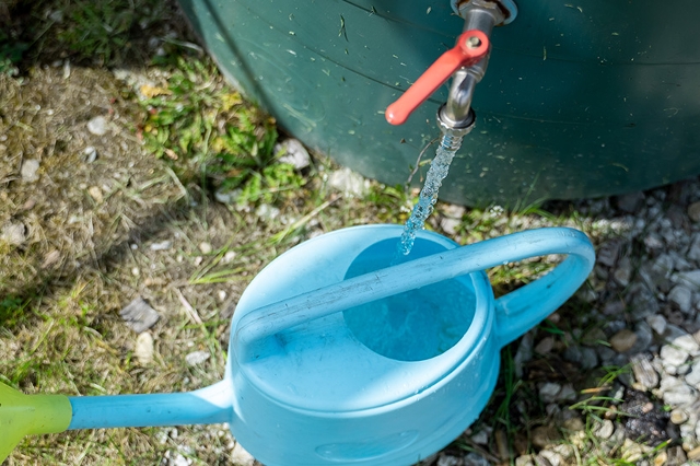 Blaue Gießkanne wird durch grüne Regentonne mit Wasser befüllt