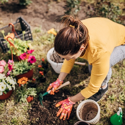 Frau pflanzt im Garten Blumen ein