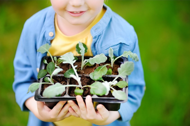 Kind mit Sprösslingen in der Hand