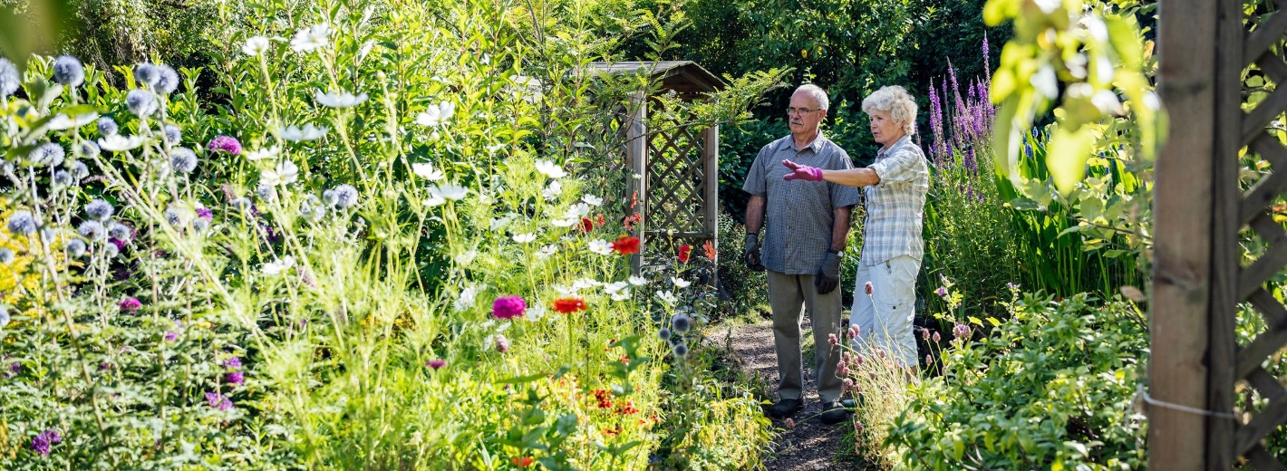 Dame und Herr besprechen Gartengestaltung der Bepflanzung