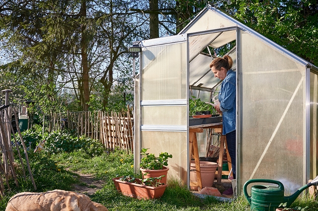 Frau arbeitet im kleinen Gewächshaus und pflanzt Gemüse im Garten.