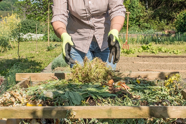 Frau befüllt Holzkomposter im Garten mit frischen Gartenabfällen und Pflanzenresten.