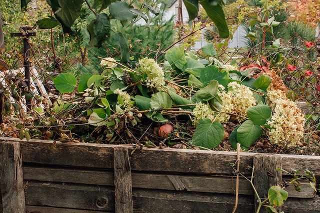 Holzkomposter im Garten gefüllt mit Pflanzenresten, Zweigen und verblühten Blüten.