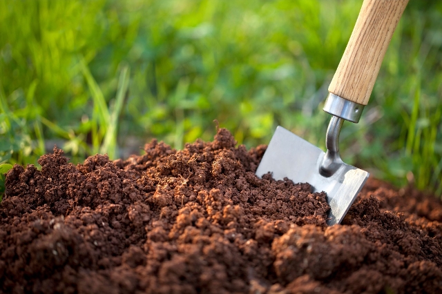 Erde mit kleiner Gartenschaufel auflockern.