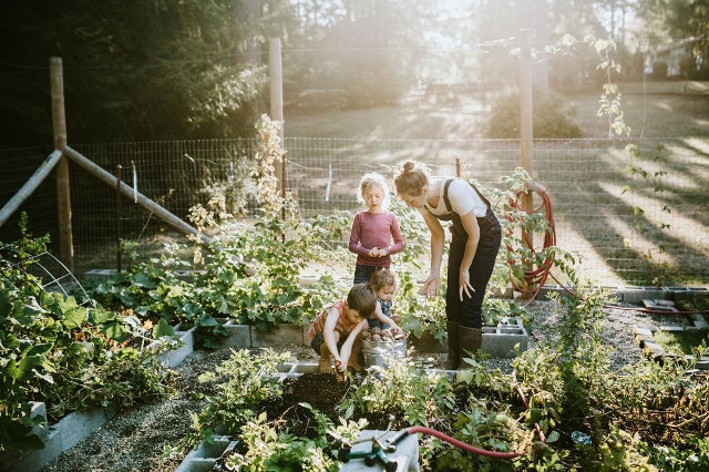Eine Frau und drei Kinder pflegen einen eingezäunten Erntegarten