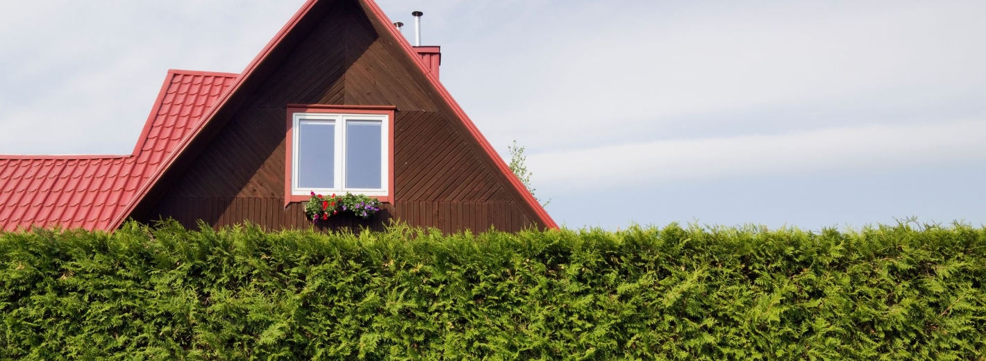 Sichtschutz des Gartens durch eine Hecke