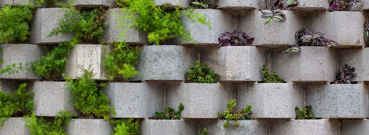 Wand mit Böschungssteinen aus Beton mit verschiedenen bereits eingesetzten Pflanzen