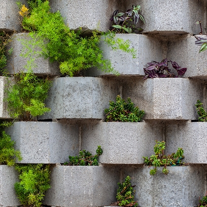 Wand mit Böschungssteinen aus Beton mit verschiedenen bereits eingesetzten Pflanzen