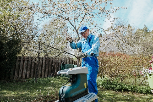 Mann häckselt Äste im Frühling im Garten