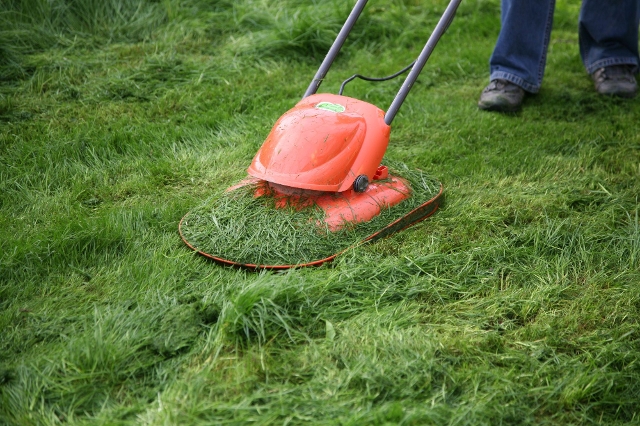 Roter Luftkissenmäher im Einsatz