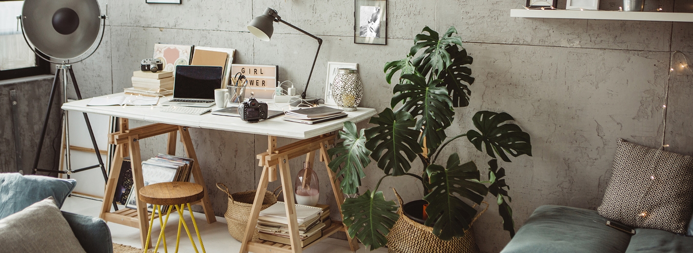 Arbeitsplatz zu Hause mit Zimmerpflanzen