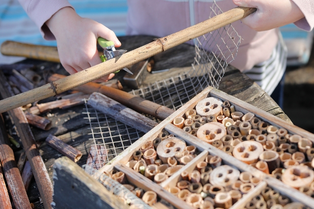Kind baut ein Insektenhotel