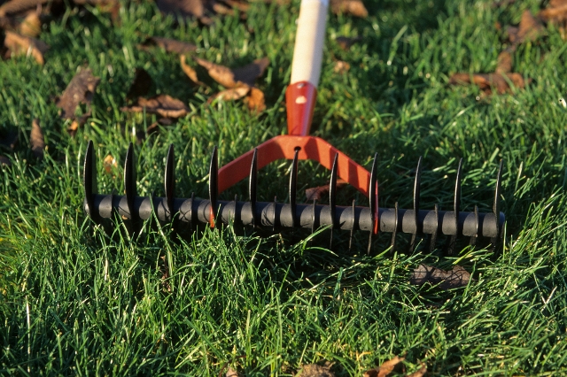 Hand-Vertikutierer im Gras