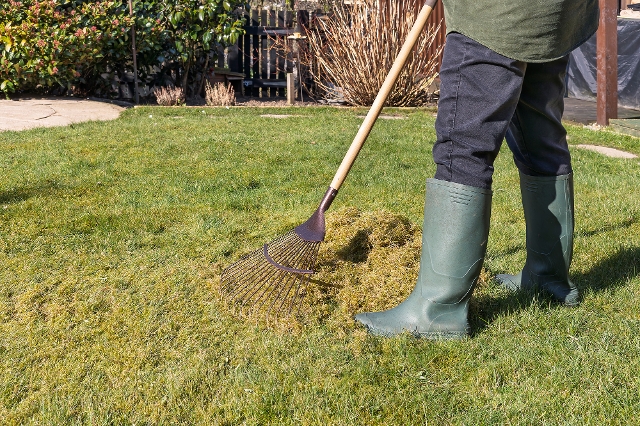 Mann macht einen Haufen mit Moos und Filz nach Vertikutieren