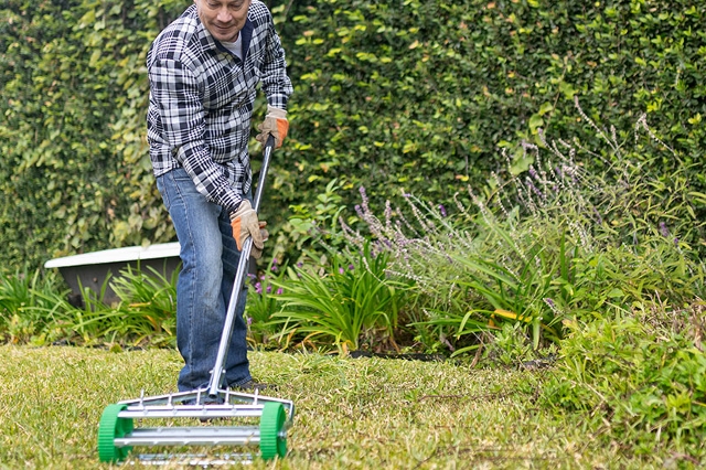 Mann vertikutiert den Rasen im Garten mit einem Hand-Vertikutierer.