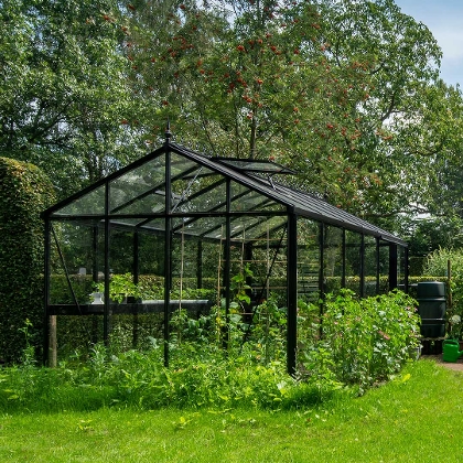 Schwarzes Gewächshaus im grünen Garten