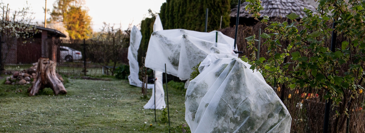 Pflanzen im Garten mit Winterschutz abgedeckt