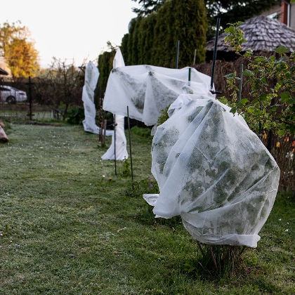 Pflanzen im Garten mit Winterschutz abgedeckt