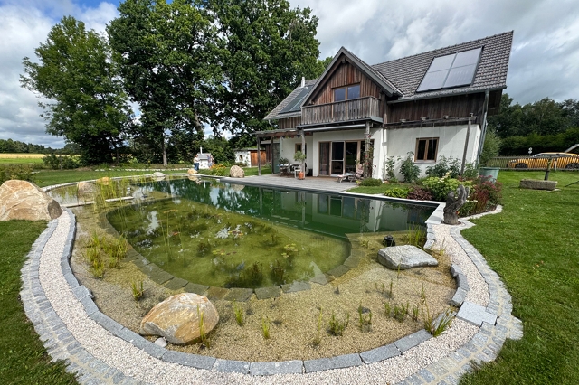 Gartenteich mit Pool- und Teichbereich