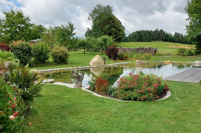 Grüne Oase im Garten
