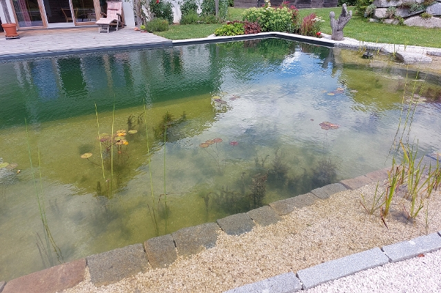 Der Teich als Lebensraum für Tiere und Pflanzen