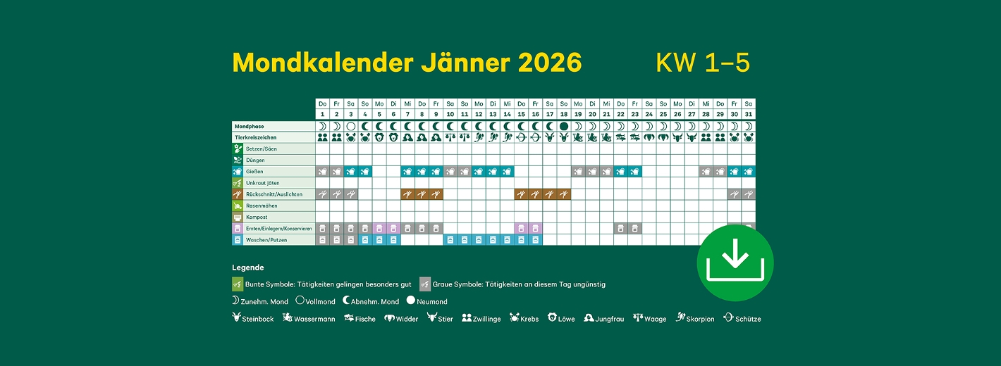 Mondkalender Jänner 2026